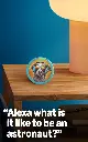 719HdeEXyYL._AC_SL1500_.webp