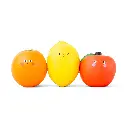 KID62-A_WB_01.webp