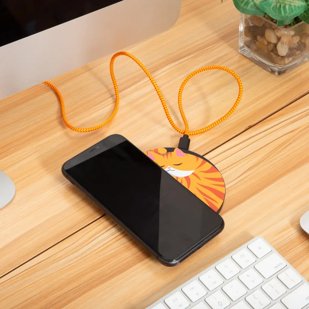US254_ACTION__SQ__01.webp