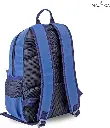 81BvdzwlOqL._AC_SX569_.webp