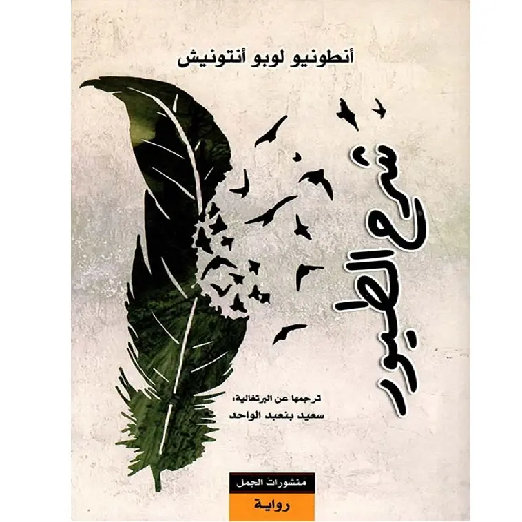شرح الطيور