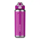 Stanley Classic Wellspring Bottle 0.71L / 24oz – Violet Blossom