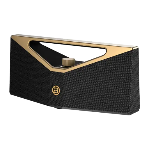 [DNA0041741] BUGANi Brief Pro Portable Bluetooth Speaker 160W - Black Gold