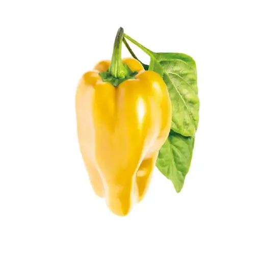 [DNA0053521] Click & Grow Yellow Sweet Pepper Plant Pods (3-Pack)