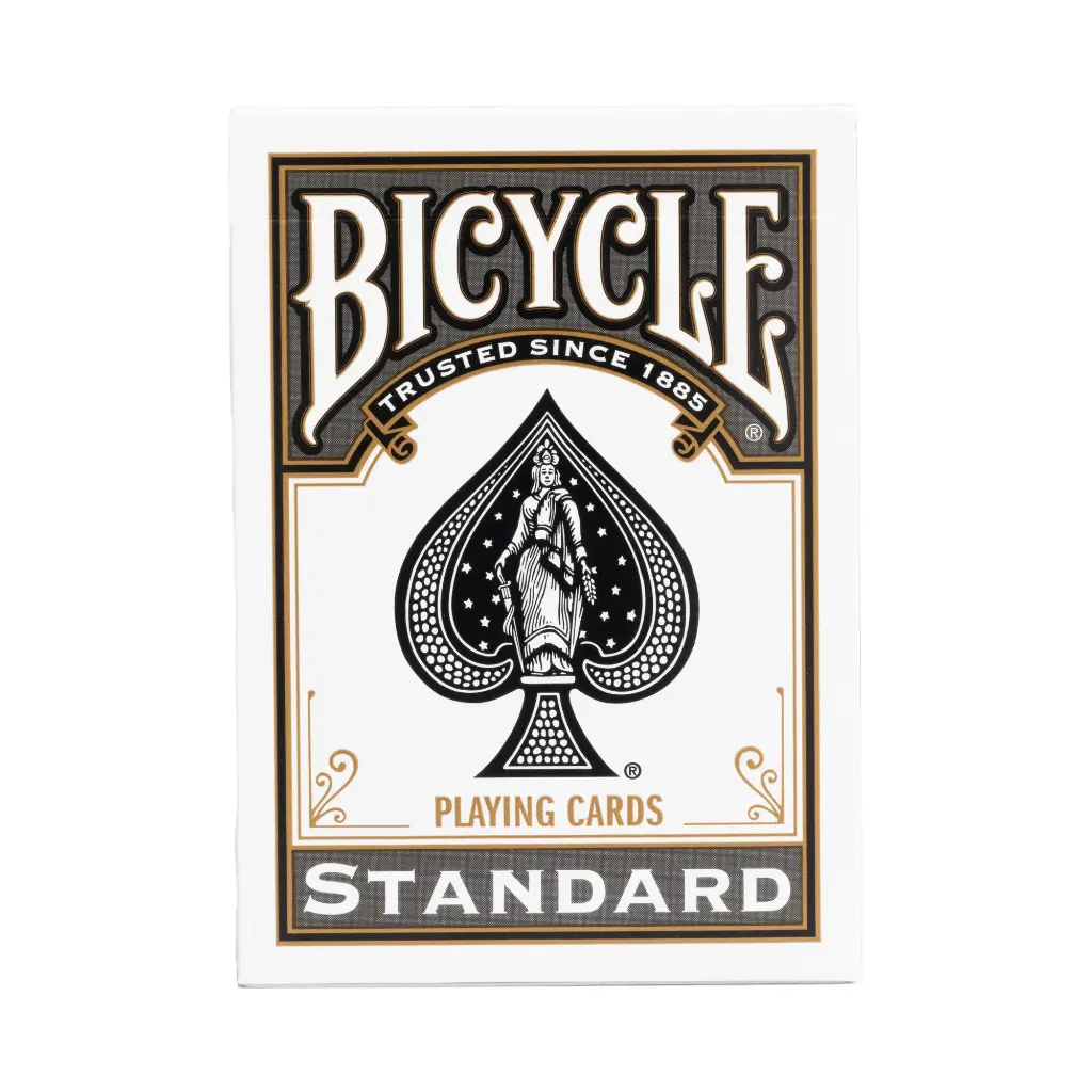 10015510_Bicycle_Standard-Rider-Back-Black_Front000774.webp