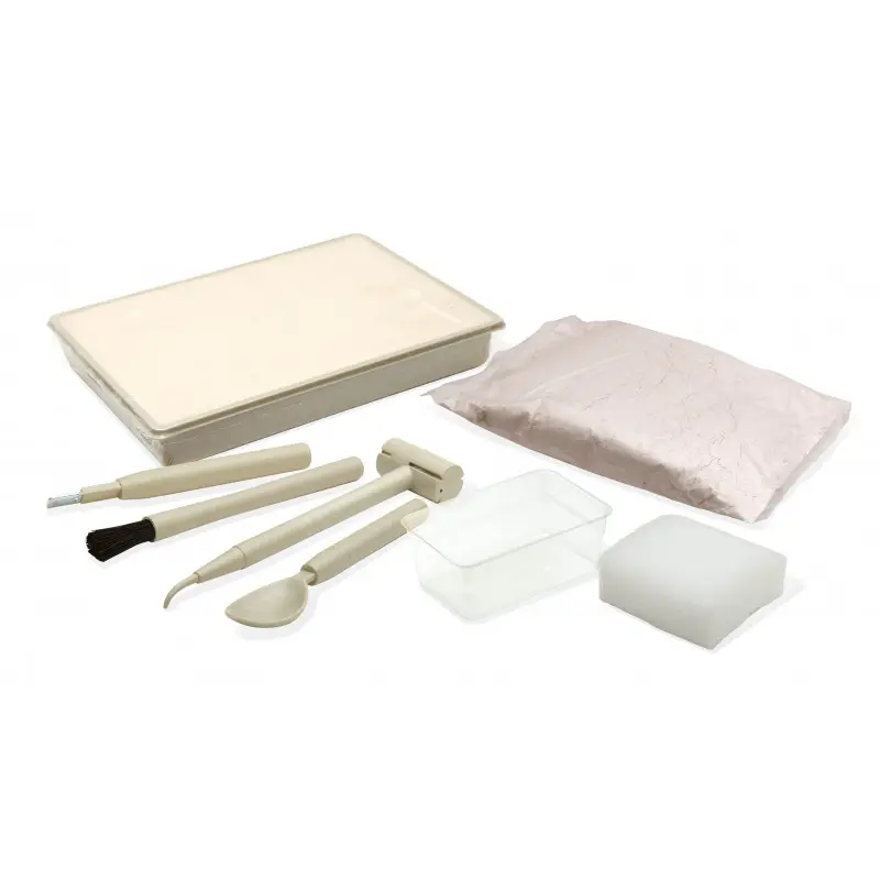 dinokit-stegosaure (1).webp