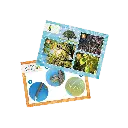 mini-sciences-microscope (2).webp