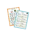 mini-sciences-microscope (4).webp