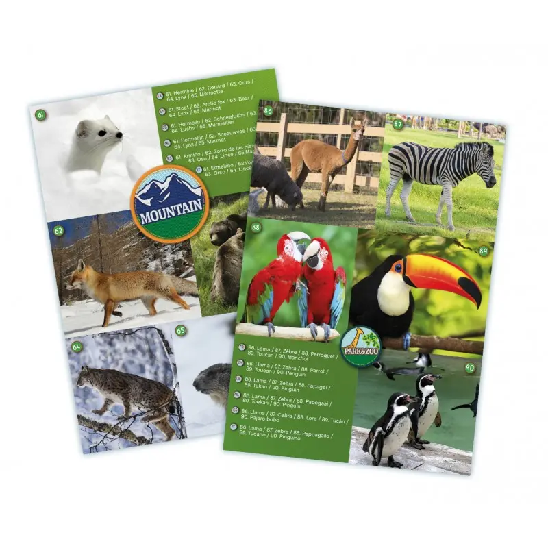 maxi-jumelles (2).webp