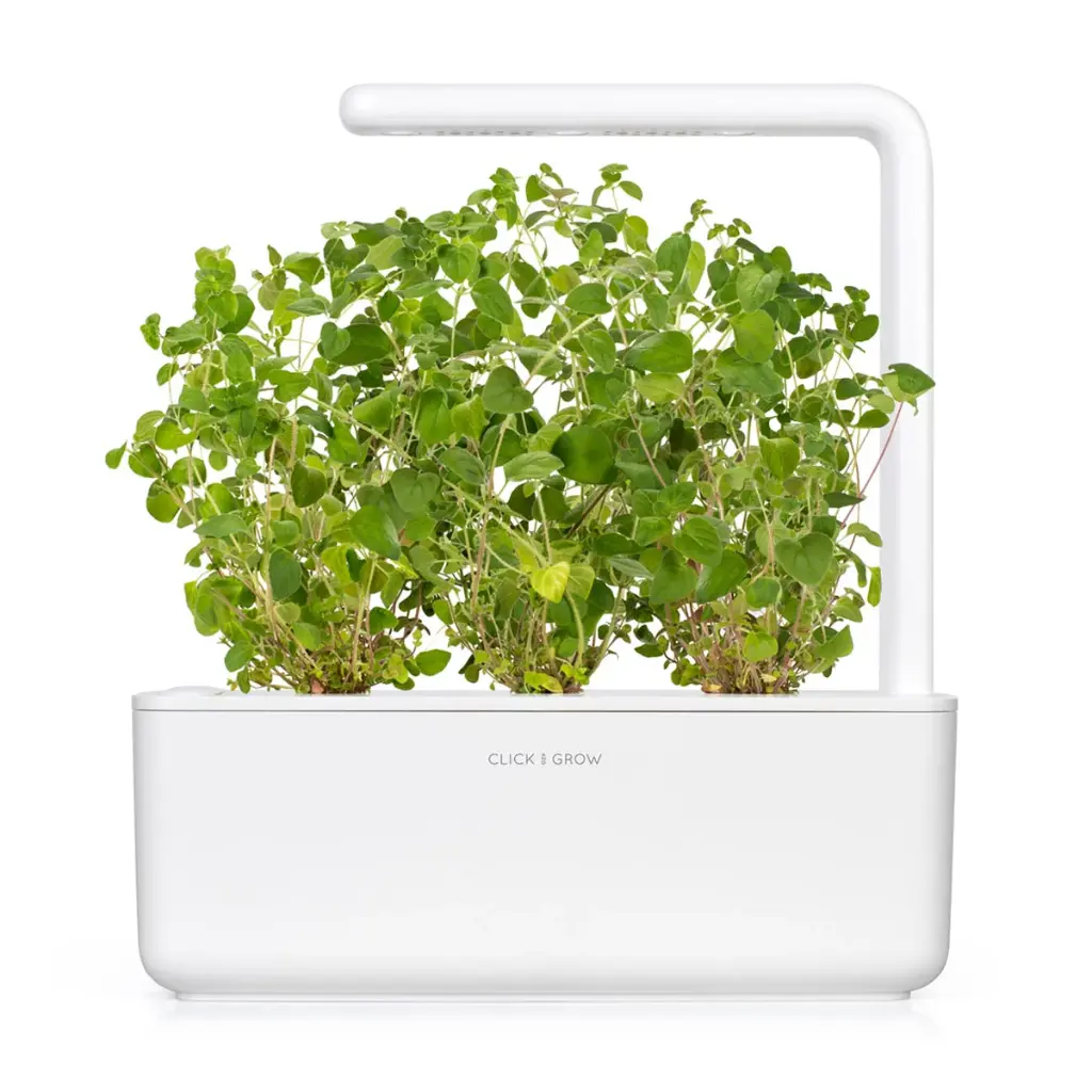 SG3_Oregano_White_1200x1200_264ab724-f8ed-43a0-b670-6466628c1f14.webp