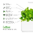 Lettuc_infographic_1200x1200_188c1b80-8e9e-4810-83ab-e0cd9a2e1013.webp