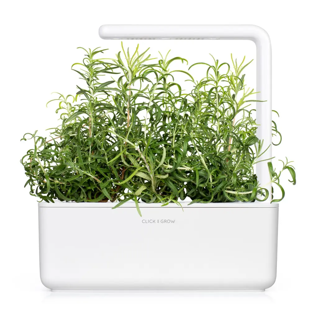 Rosemary-SG3-White-1200x1200_aa0b9904-233d-4f2b-9113-82a10eee4056.webp