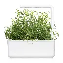 Rosemary-SG3-White-1200x1200_aa0b9904-233d-4f2b-9113-82a10eee4056.webp