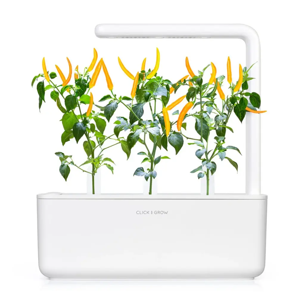 SG3_Yellow_Chili_1200x1200_white.webp