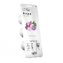 Petunia_3pack_whitebg.webp