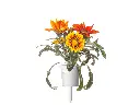 Gazania-single-plant-1280x960.webp