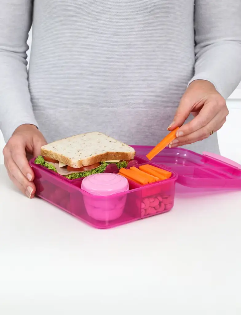 41690_1.65l_lunch_bento_lunch_lifestyle_food_bench_hands_pink.webp