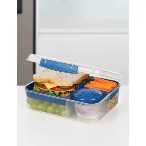 حافظة طعام سيستيما Bento Lunch To Go بسعة 1.65 لتر