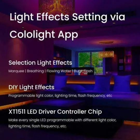 cololight-led-lighting-19019706892444.webp