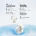 71nweJKS_pL_0c1109b5-e052-4a63-8998-78b99933f555_2048x2048.webp