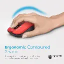 1200Contour-Red.02_800x.webp