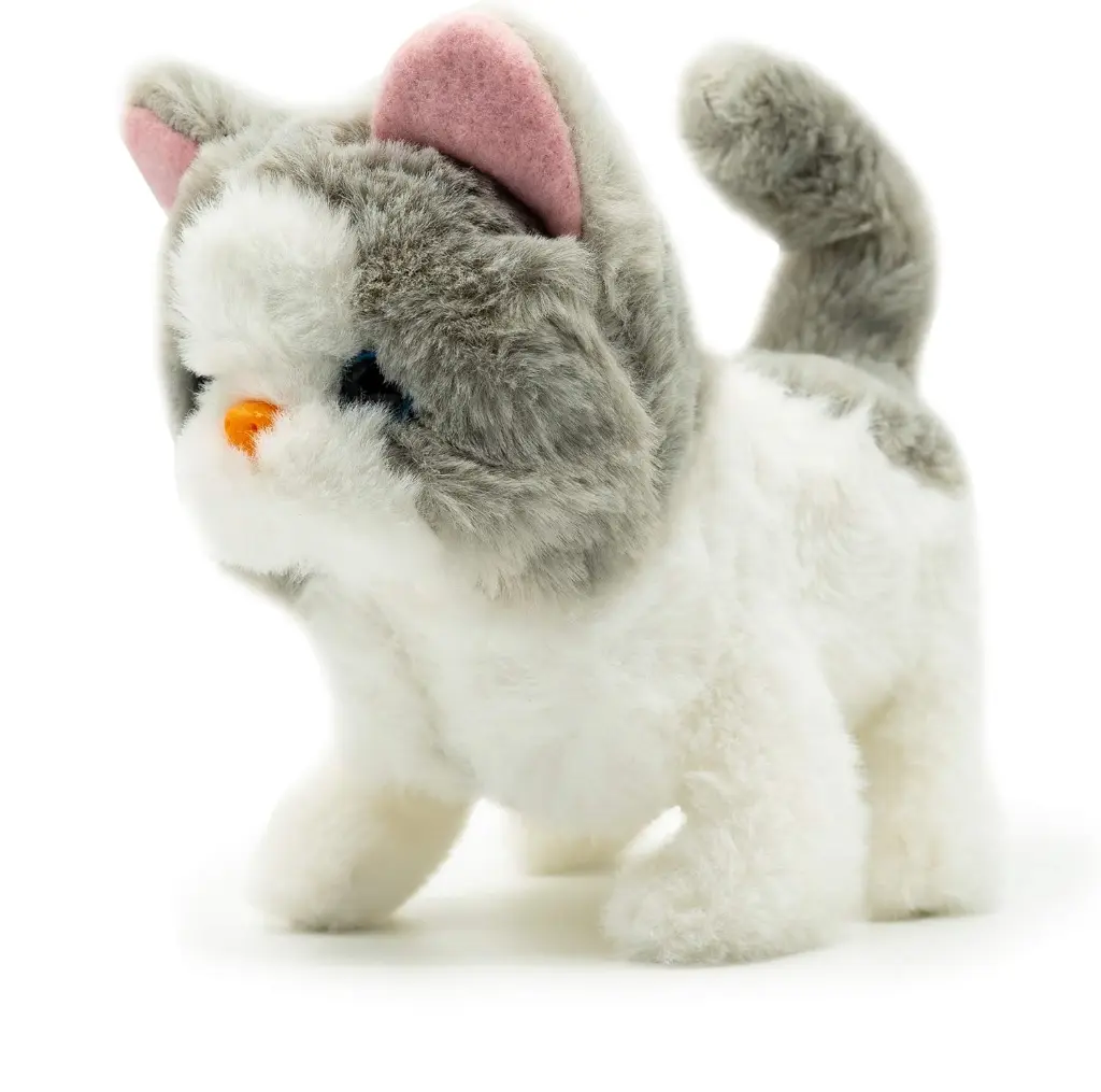 81EdAwpTr3L._AC_SL1500_.webp