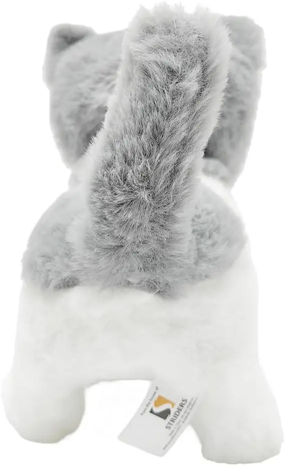 51rrNwrGrzL._AC_SL1000_.webp
