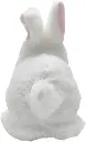 418TuB3aj6L._AC_SL1000_.webp