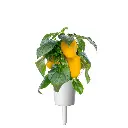 SGR53X3-3.webp