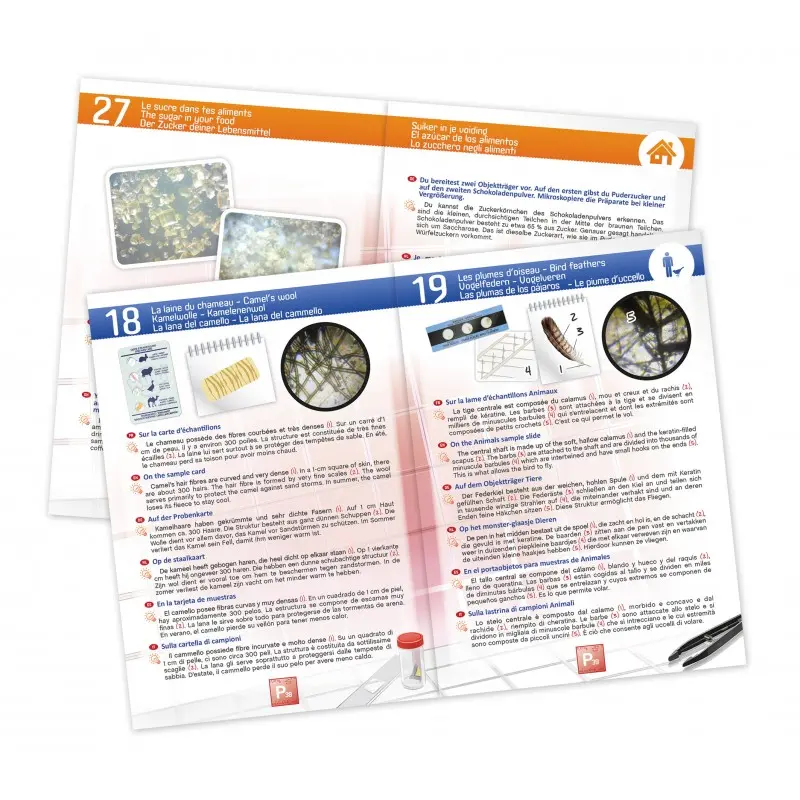 microscope-30-expariences (2).webp