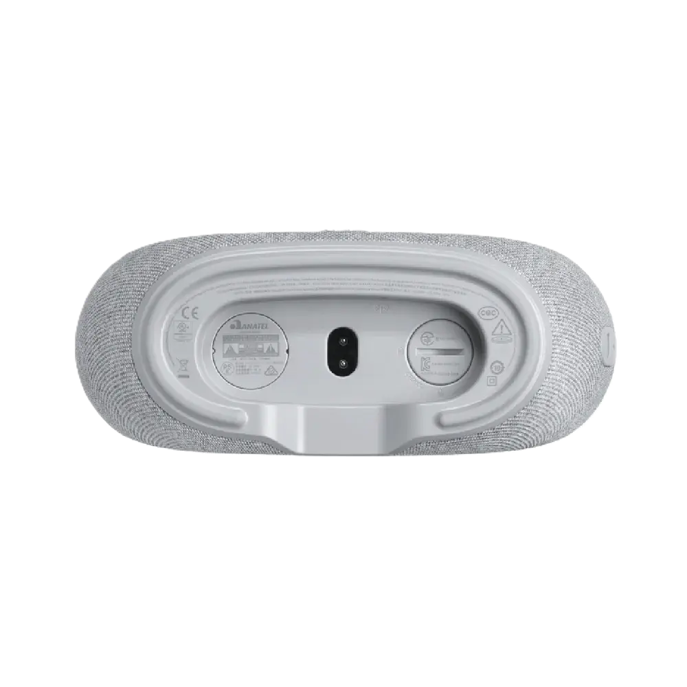 JBLHorizon3BluetoothClockRadioSpeakergray._1000x.webp