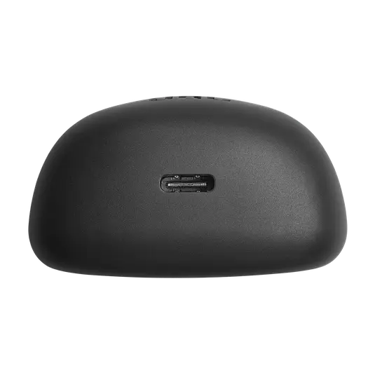 JBL_Tune_Flex_Product Image_Case Bottom_Black.webp