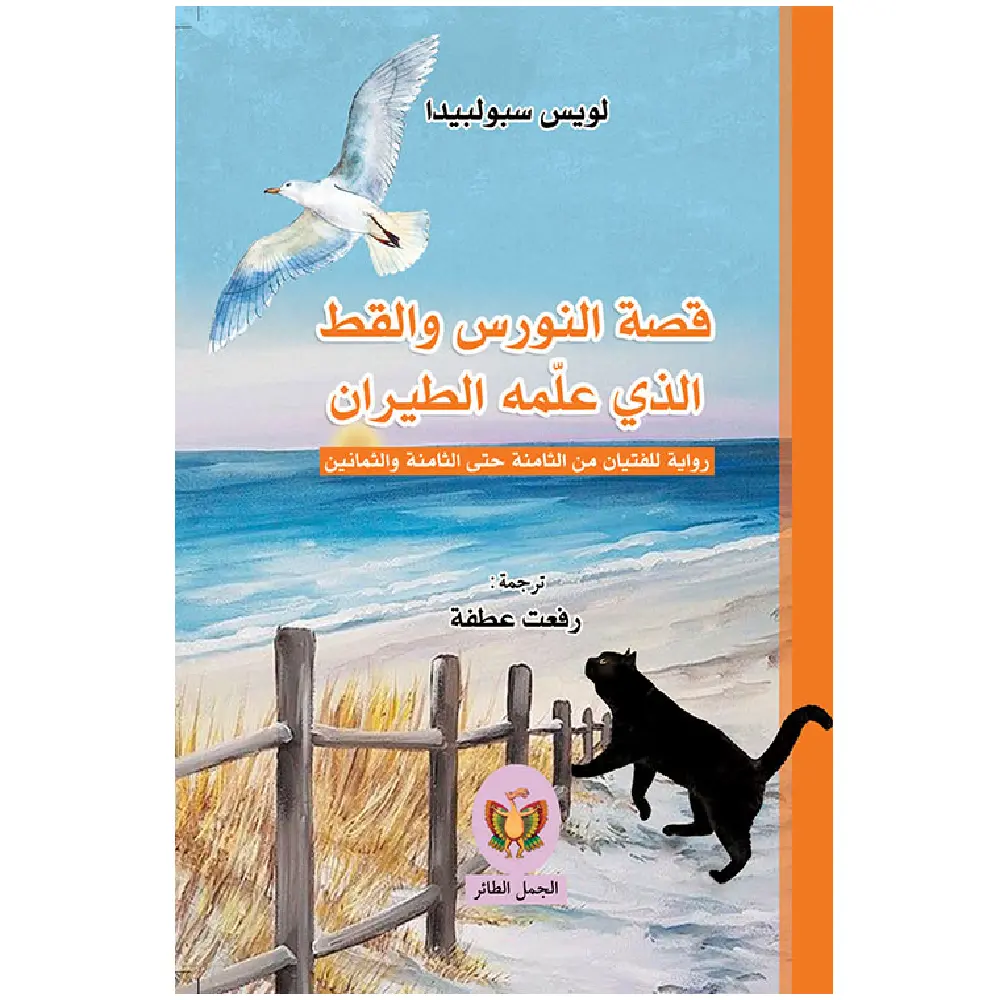 قصة النورس والقط