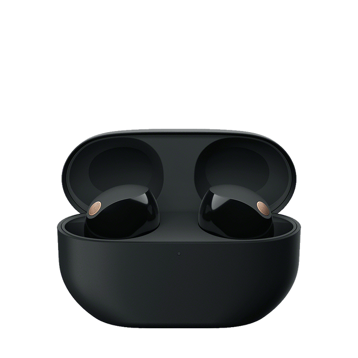 Sony WF-1000XM5 Truly Wireless Noise Cancelling Earbuds 