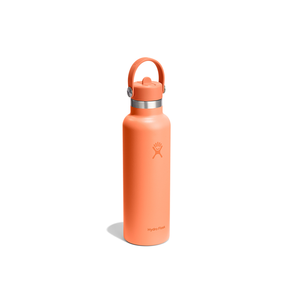 Hydroflask Nectar – زجاجة حرارية مع قشة (620 مل)
