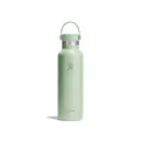 Hydroflask Aloe – زجاجة حرارية بفوهة قياسية (620 مل)