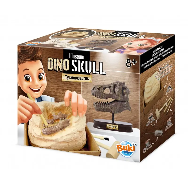 Buki - Dinosaurskull Tyrannosaurus1X6