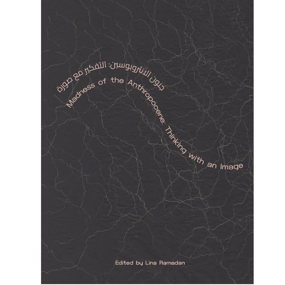 Madness Of The Anthropocene: Thinking With An Image