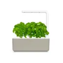 Click & Grow Smart Garden 3, Beige