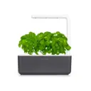 Click & Grow Smart Garden 3, Dark Grey