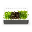 Click & Grow Smart Garden 9, Dark Grey