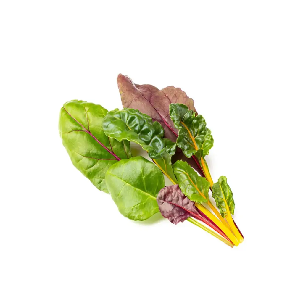 Click & Grow Rainbow Chard