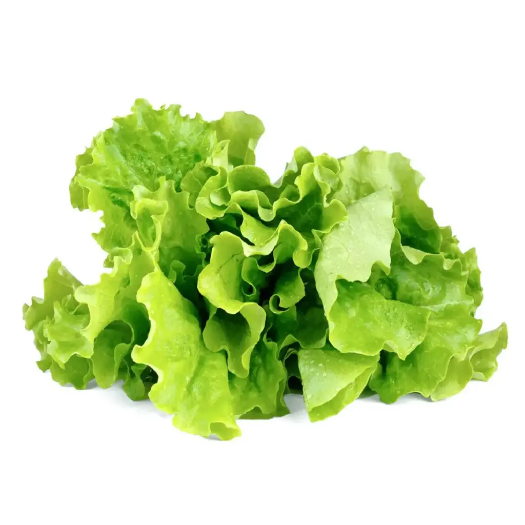 Click & Grow Green Lettuce / 3-Pack