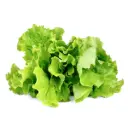 Click & Grow Green Lettuce / 3-Pack