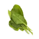 كليك آند غرو سلق أخضر / 3 عبوات