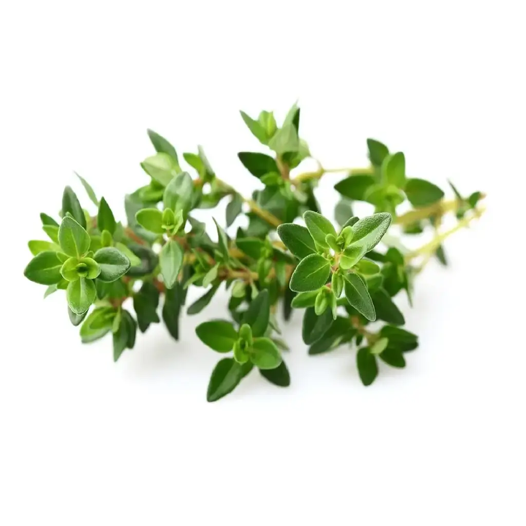 Click & Grow Thyme / 3-Pack
