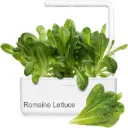 Click & Grow Salad Greens Mix /9-Pack