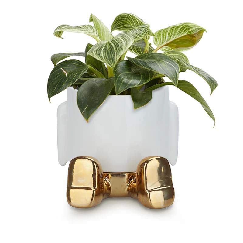 Balvi Mini flower pot,Mr.Sitty Gold Edition,ceramic