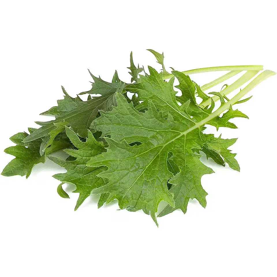 C&G Plant Pod Mizuna