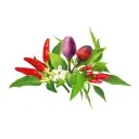 C&G Plant Pod Chili Pepper Mix